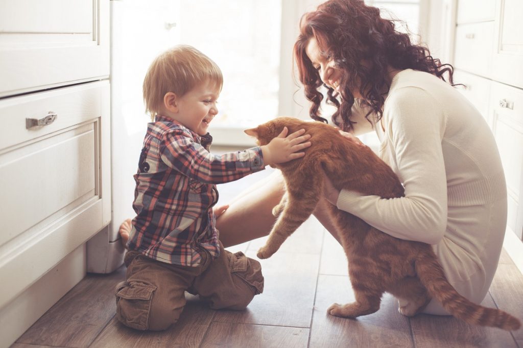 Mother and son playing with cat at home