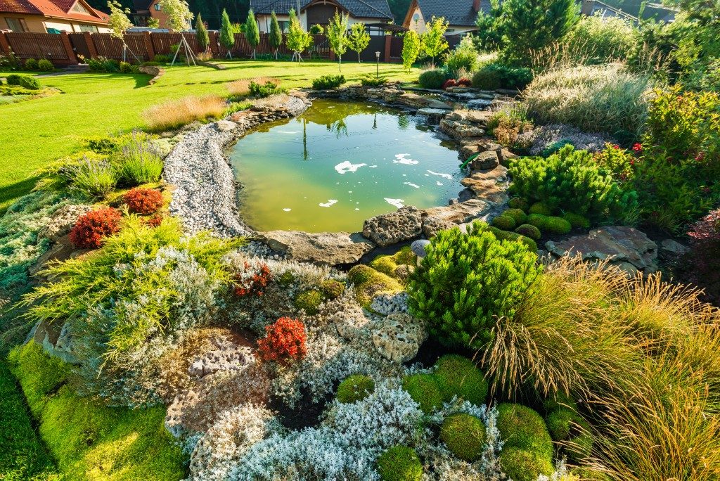 beautiful lawn with pond