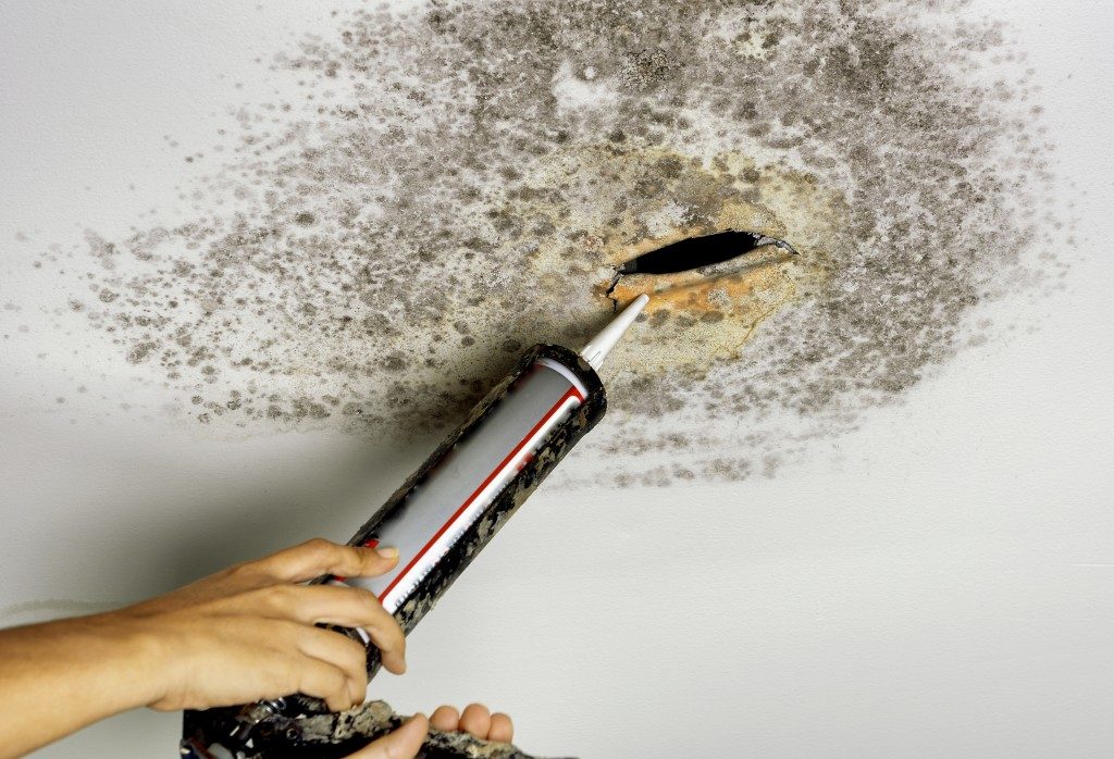 person removing mold in the ceiling