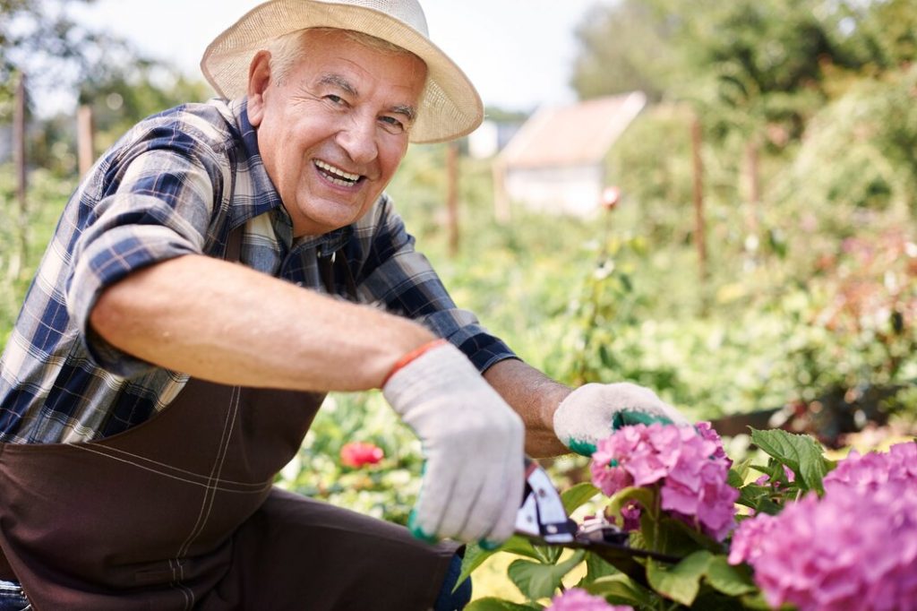 Senior man working in the field with flowers